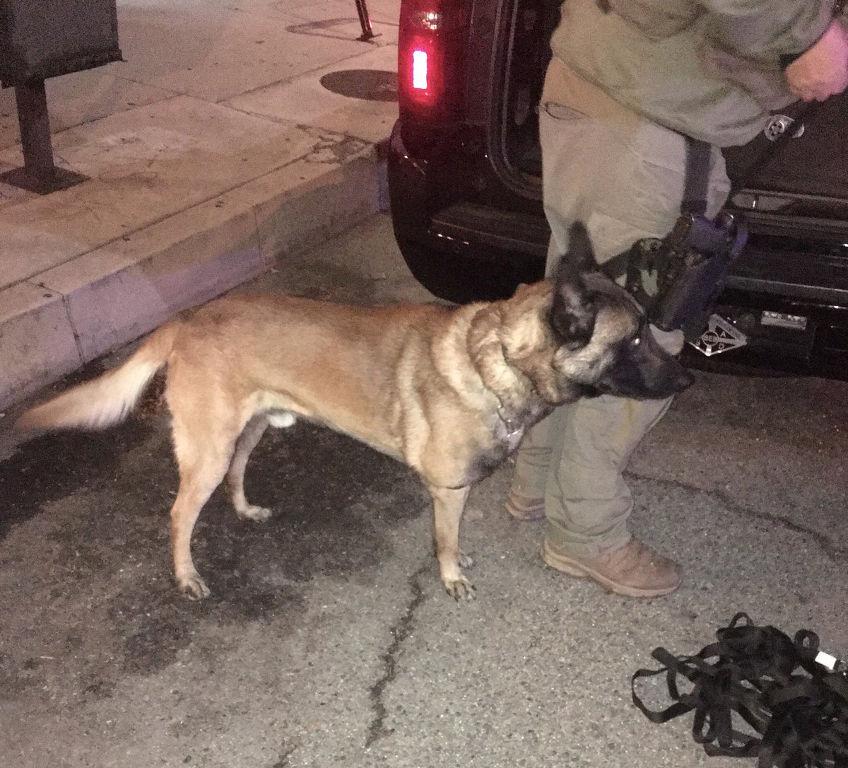 LASD SEB SWAT canine operation with canine Nero in support of East Los Angeles Station has concluded. Armed barricaded assault with a deadly weapon suspect in custody. Fetterly Ave reopened. Neighborhood safe