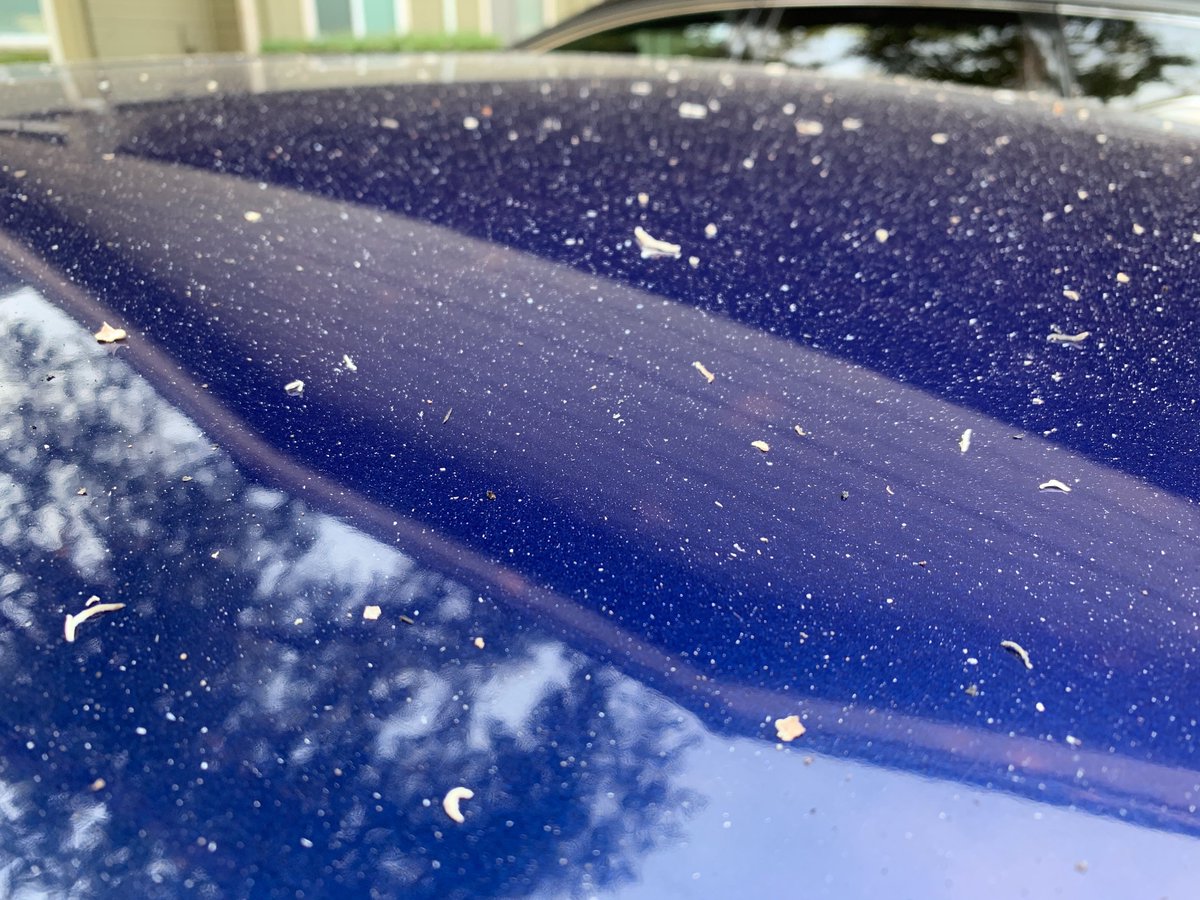 Smoke and ash from the wildfires burning across the Bay Area are moving through the air. Here's a look at the ash that fell on cars in San Jose