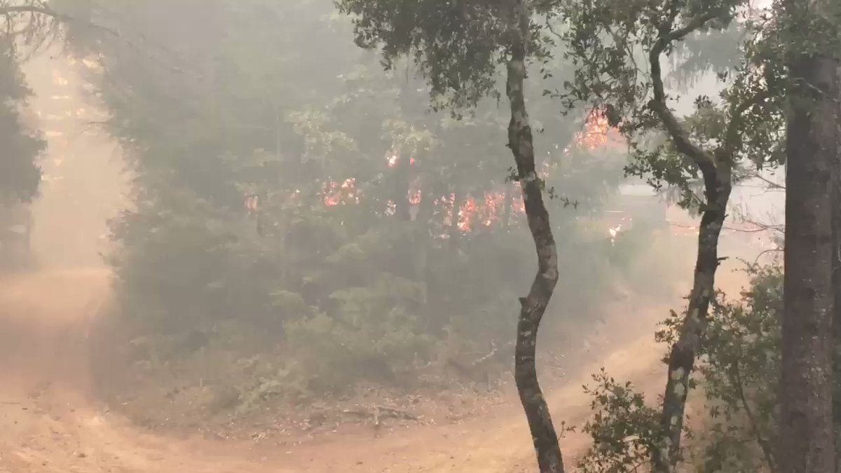 Residents in Felton are being ordered to evacuate as the CZULightningComplex fire intensifies. We saw this home in Felton overtaken by flames