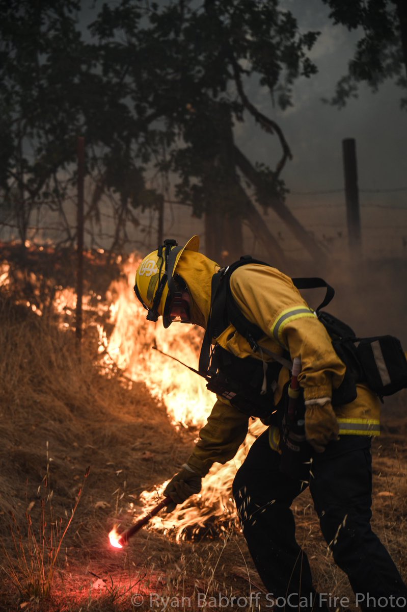 Images from the wallbridgefire yesterday as the fire burns in record fuels and was being pushed by strong winds.  The town of Guernville is of major concern today. LNULightningComplex