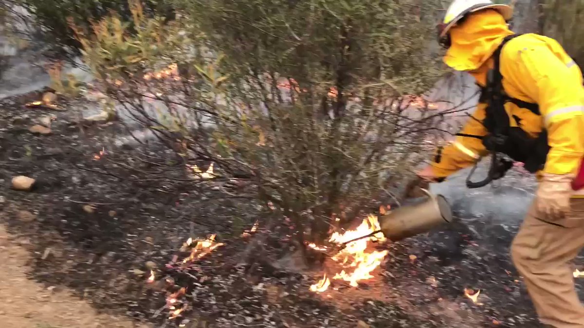 Firefighters are using back burning techniques to get the LNULightingComplexfire under control. Back burning reduces the amount of fuel available to the main fire.