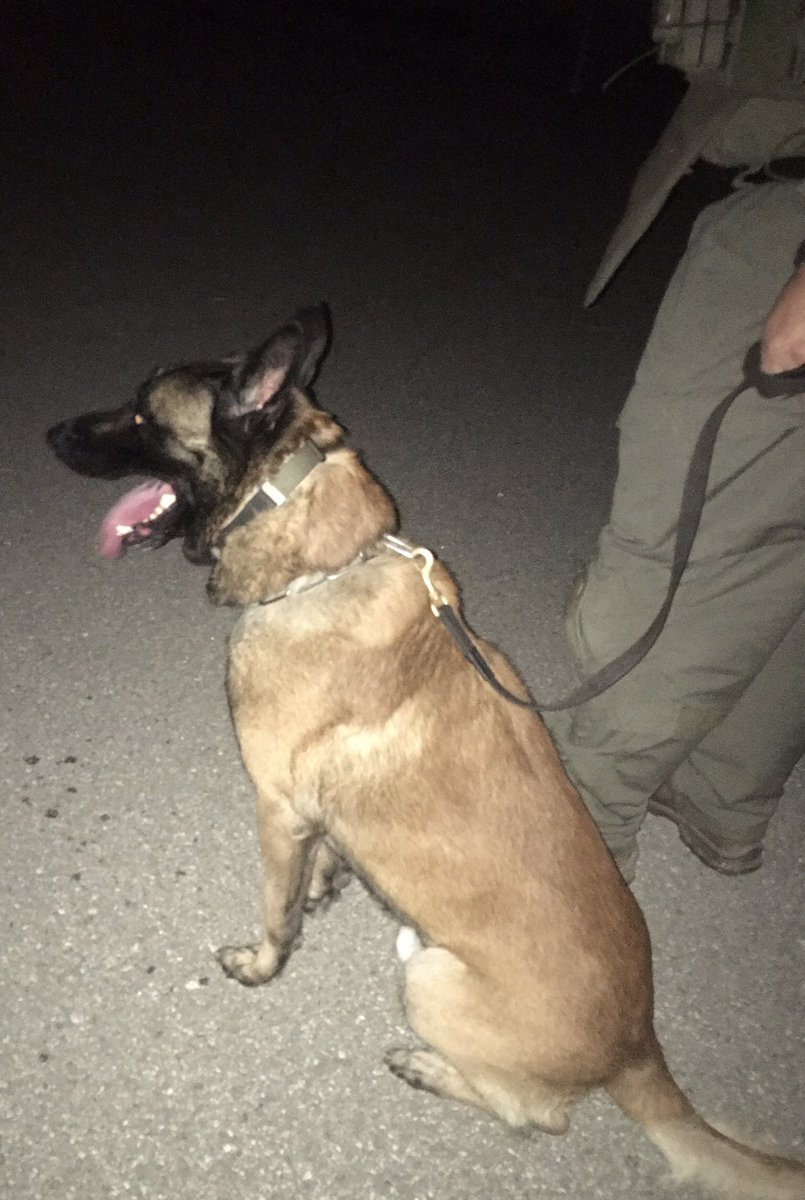 LASD SEB SWAT canine operation with canine Nero for an armed assault with a deadly weapon suspect in the city of Compton has concluded. Armed suspect in custody. Tichenor St reopened. Neighborhood safe