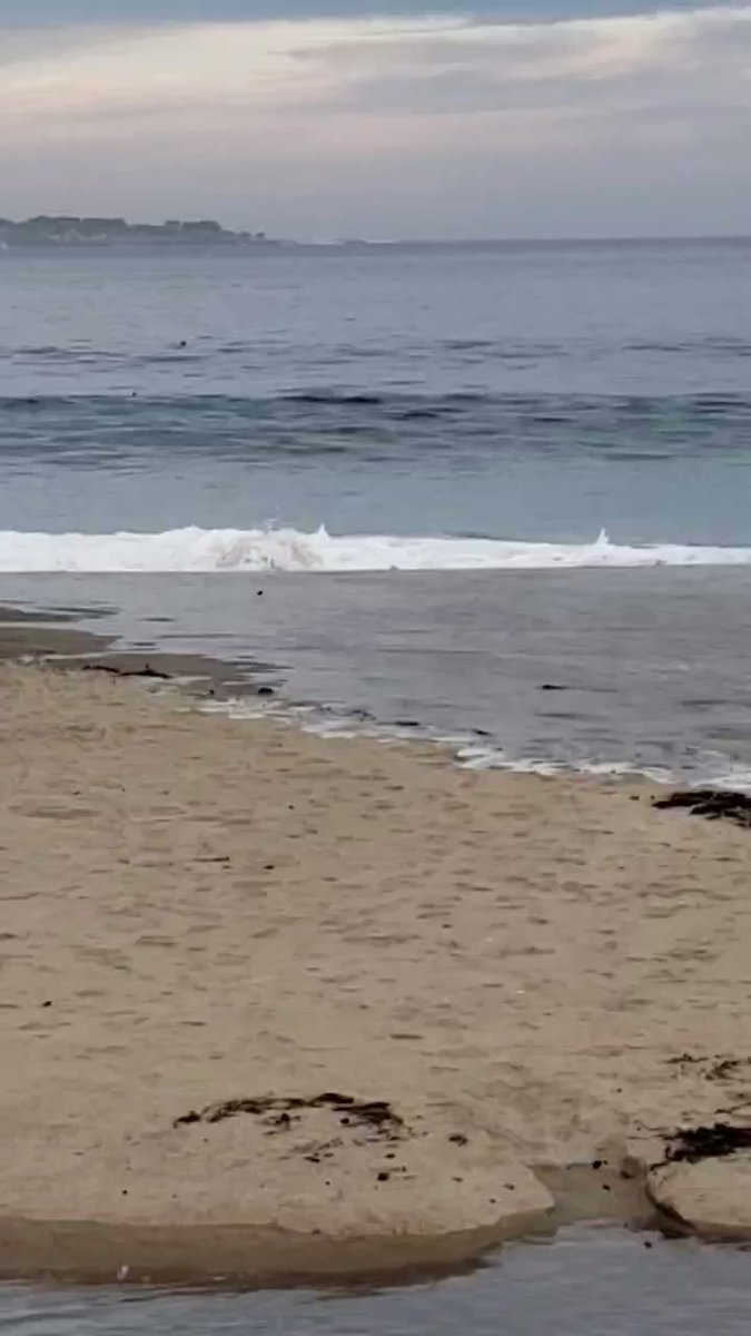 Tsunami energy arriving at Del Monte Beach. people have to scramble when the waves unexpectedly reached them.