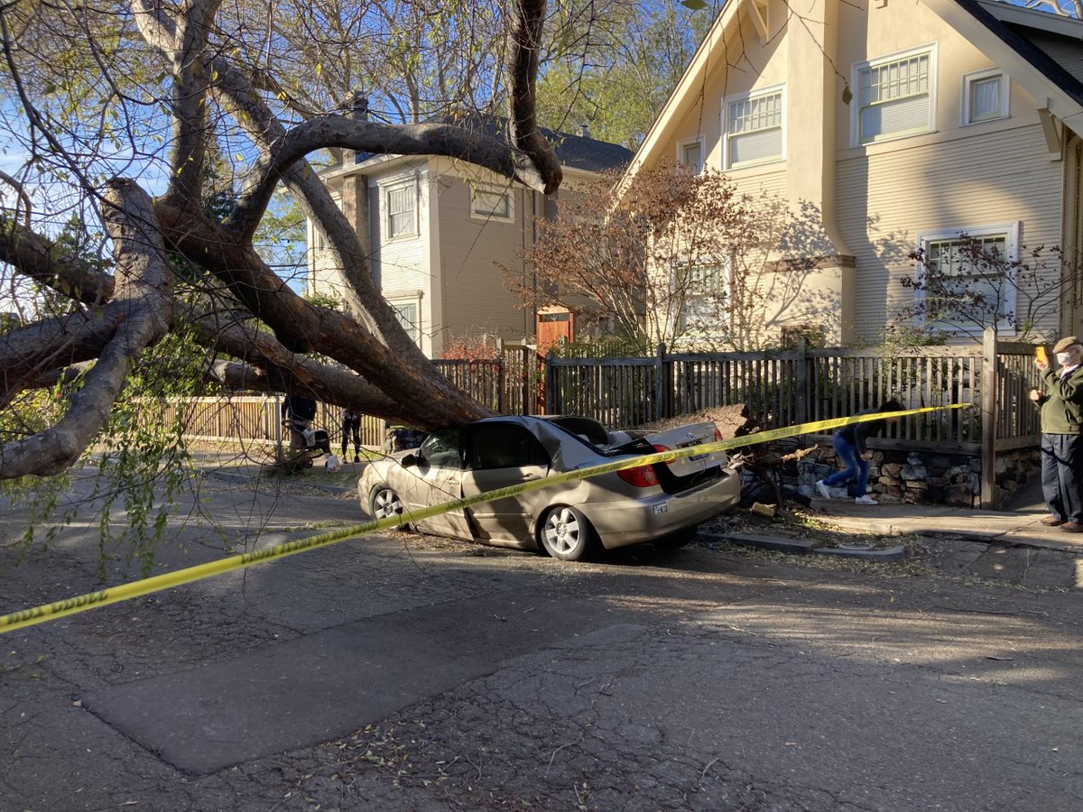 Over the weekend, viewer Mark Chekal-Bain took photos of havoc wreaked by the winds.  Here is a car damaged by a tree on Hillegass Avenue in Berkeley.