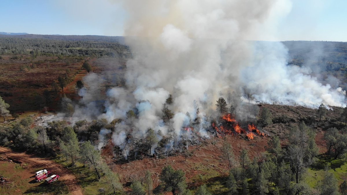 The @CALFIRE_ButteCo PrescribedBurn last weekend in Cohasset. The Pinecone burn included 14 acres of crushed & treated brush &amp; was part of the Loafer Creek LLC Vegetation Mgmt. Project, a 3,300-acre property that sits in the burn scar of the 1999 lightning-caused Musty Fire