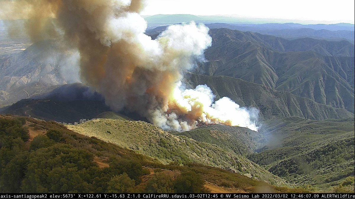 50+ acres, MROS. Ramona tankers enroute. The last firecam grab is my view direction,   the header already.  JimFire South of Santiago Peak, up Trabuco Creek