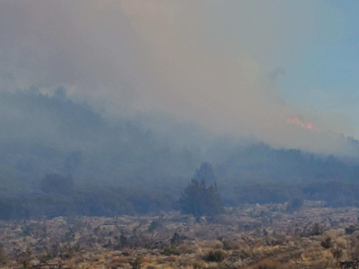 GulchFire near Dorris Brownell Road & East Butte Valley Road, southeast of Dorris is 40+ acres and 10% containment. No evacuations at this time. The cause is still under investigation. Fire resources responded from State, Federal and local gov as well as Keno fire dept