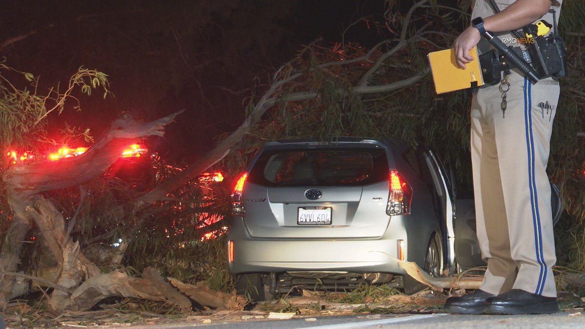 Calabasas: Two women escape serious injury after slamming into a downed tree blocking Mulholland Highway just after midnight.