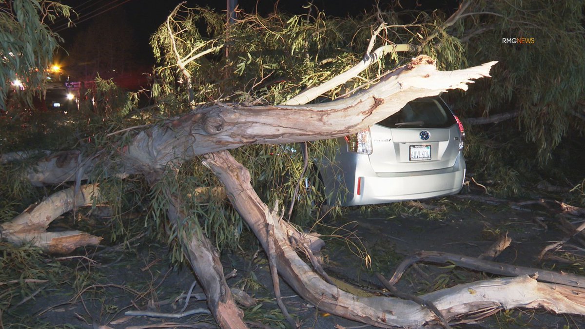 Calabasas: Two women escape serious injury after slamming into a downed tree blocking Mulholland Highway just after midnight.