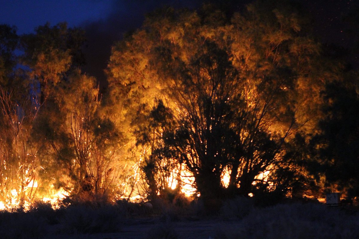 Lancaster,ca: 904B(brush fire) 110th st e and Ave H. Brush fire at location