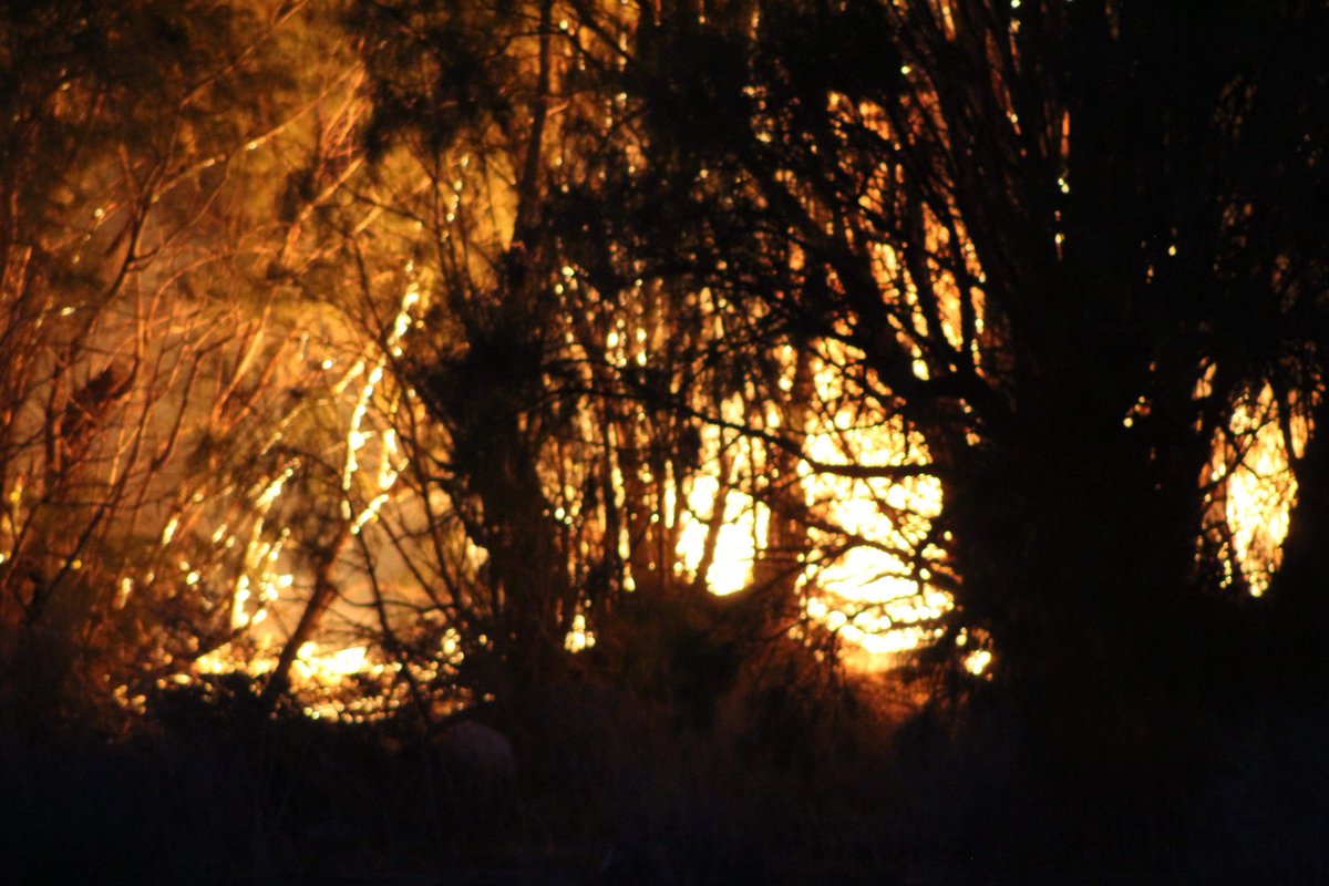 Lancaster,ca: 904B(brush fire) 110th st e and Ave H. Brush fire at location