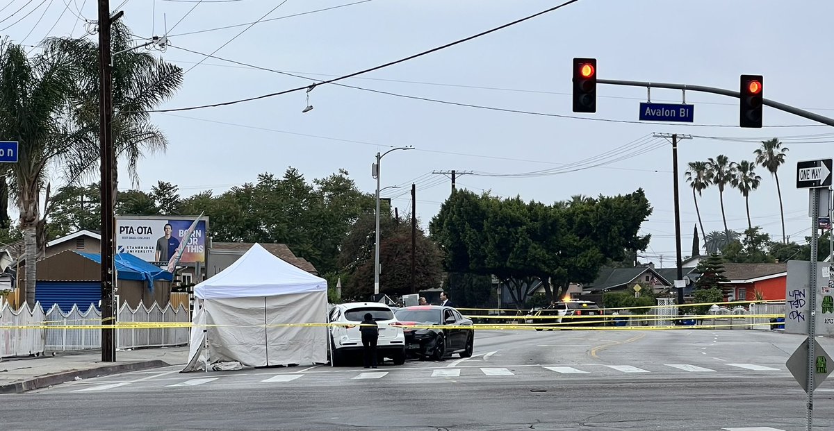 Investigation underway after fatal head on crash at Gage and Avalon, LA.  Turns out driver of white Infiniti, who died, appears to have been shot moments before losing control of his car.  Driver who was stopped at light not injured