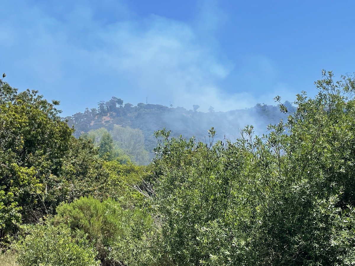 1/8 of an acre brush fire in the river bottom near 2600 Camino Del Río N. No structures threatened. Several SDFD units working this fire