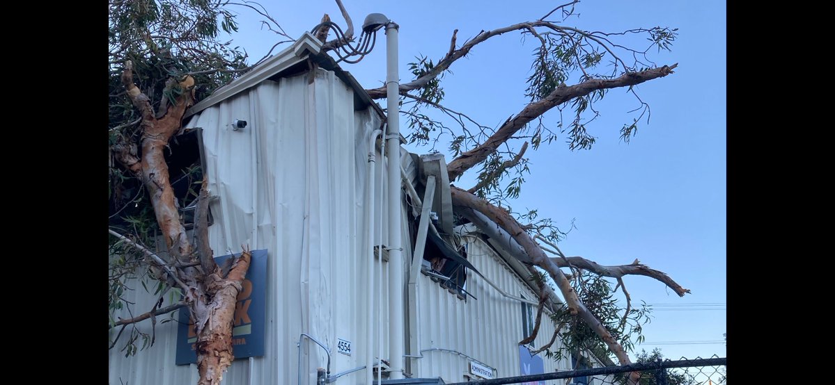 A large Eucalyptus tree has come down during the overnight powerful winds, crushing the office side of the Food Bank of Santa Barbara County on Hollister Ave. near Goleta.  The refrigerated area is open to supply daily deliveries.  