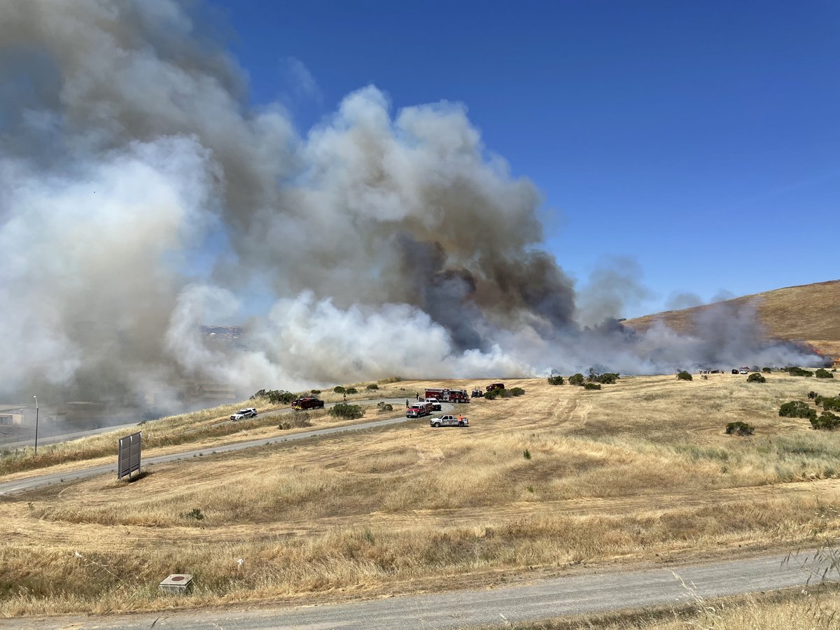 Con Fire is currently on-scene at vegetation fire off Willow Pass Road and Highway 4