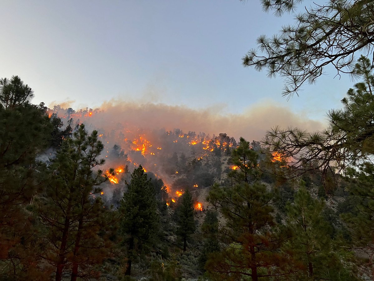 Vegetation fire, Sheep Creek x Highway 2.  -Approx 35 acres, 0% contained.  -Unified Command with @Angeles_NF & @CALFIREBDU  -No mandatory evacuations in place. Contingency plans &amp; crews in place.  -Highway 2 shut-down from 138 to Sheep creek area