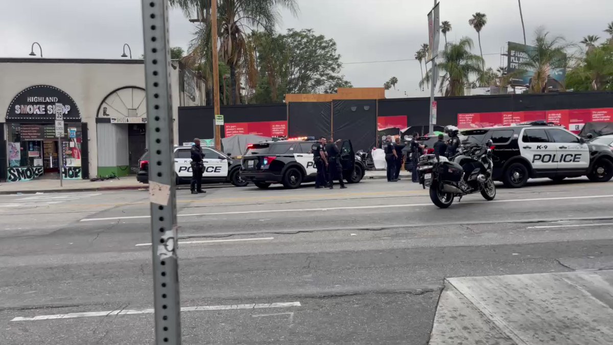 Highland and Sunset:  Car crashes after being chased by Bev Hills policemen. Police threaten to send in dogs and call for SWAT.   Driver takes off leaving Bev Hills policemen looking stupid