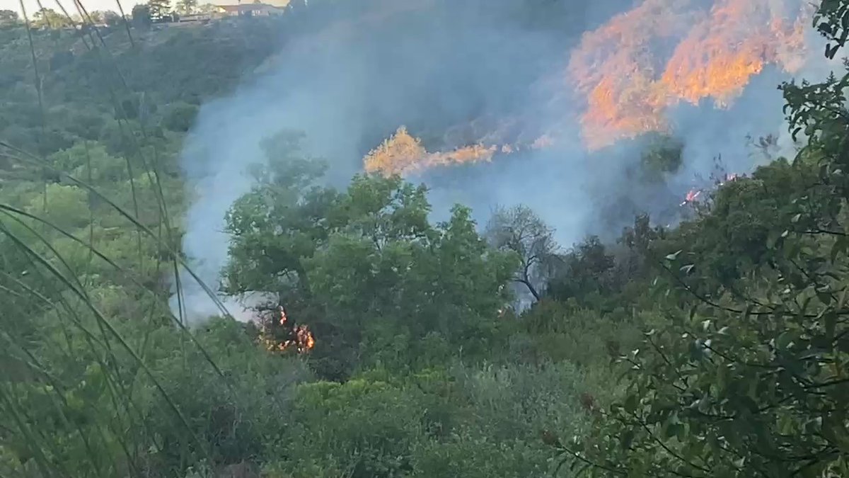 @SDFD working to stop spread of fire in MissionValley canyon off of Northside Drive