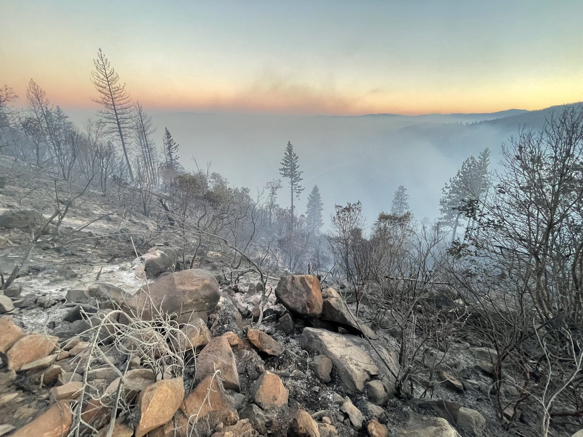 Here is a look at the RicesFire above the Yuba River.  A wind shift is now pushing smoke down the canyon.  Crews are attempting to keep the fire from crossing the river into Yuba County