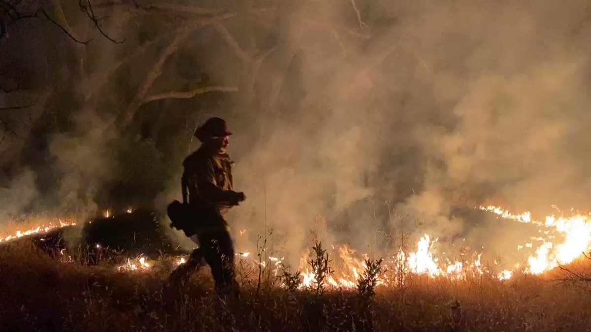 WilsonFire, 5-7 acres 3000 block of Geysers Rd