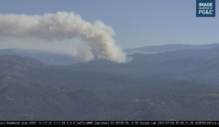 Fire at 250 acres in brush and timber. Active fire behavior last night with torching and spotting