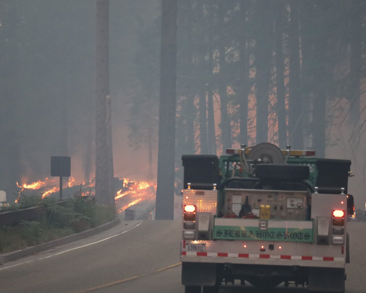 FireFire crews performed many firing operations this morning, just outside of the South Gate of Yosemite. The smoke is very thick this morning