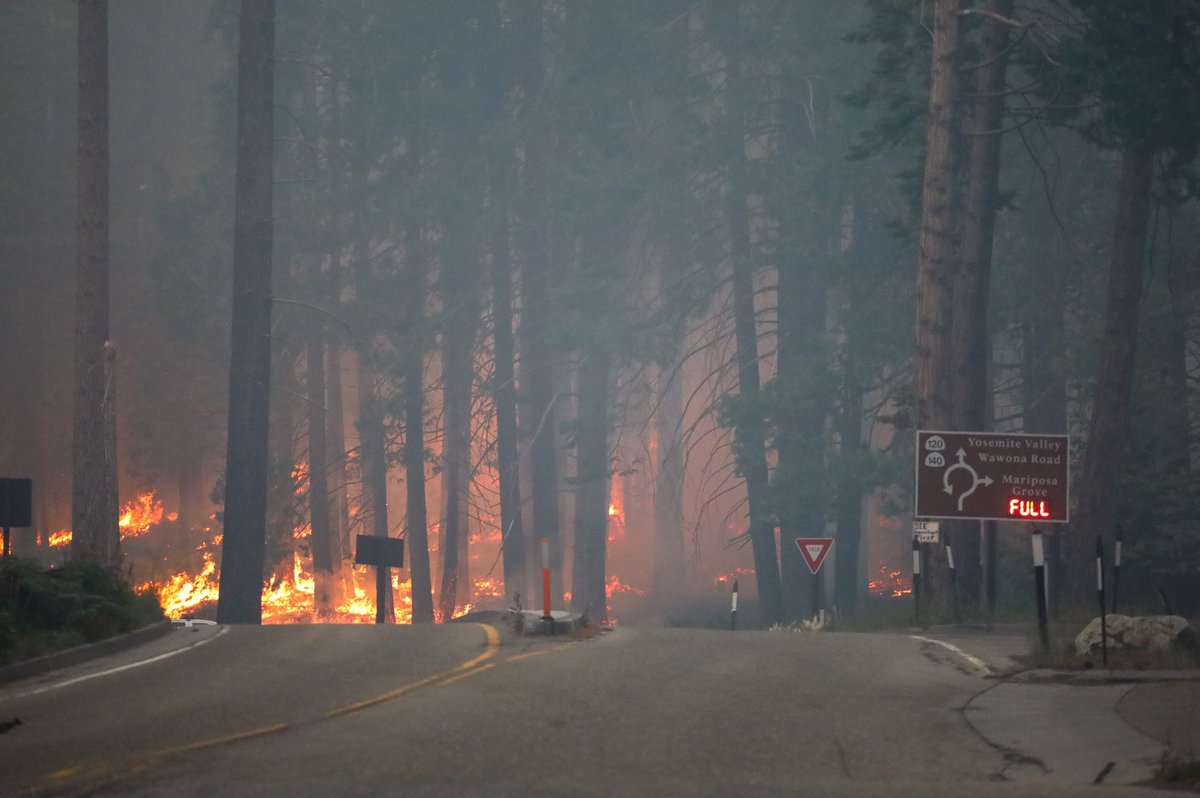 FireFire crews performed many firing operations this morning, just outside of the South Gate of Yosemite. The smoke is very thick this morning