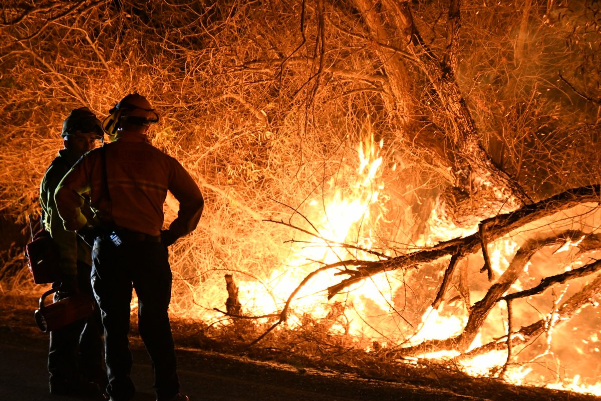 Yolo County Fire were dispatched to County Road 99E \ CR-E11 for reports of a Vegetation Fire. 