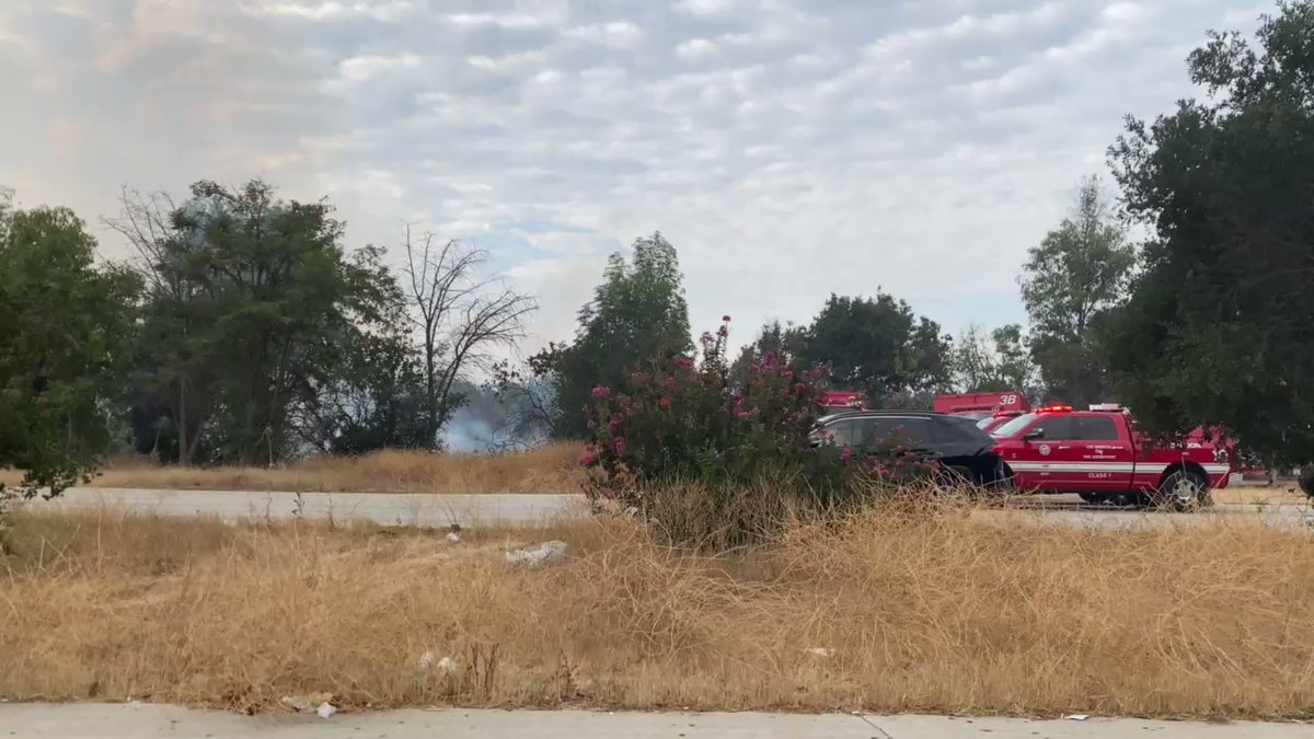 Smokey skies near Lake Balboa. @LAFD working to put out this brush fire at the intersection of Woodley Ave and Burbank Blvd