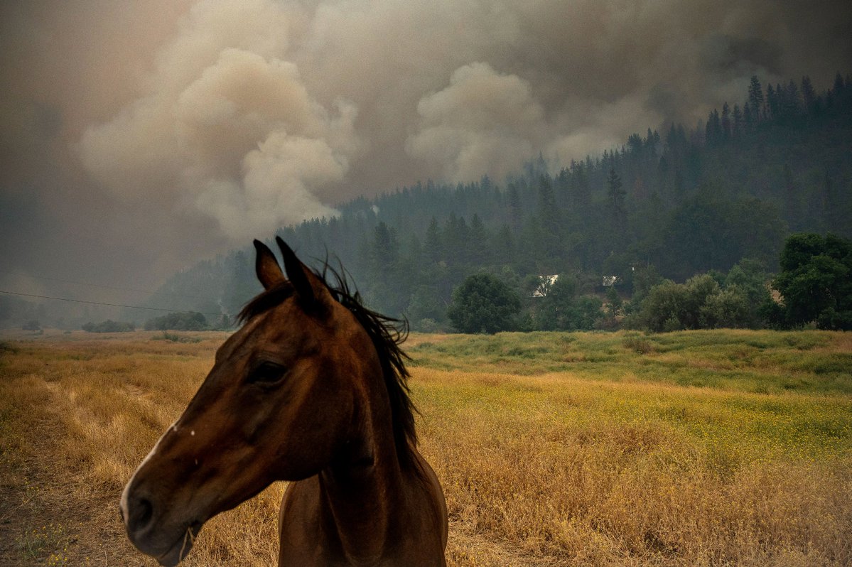 Two bodies were found inside a charred vehicle in a driveway in the wildfire zone of a raging California blaze that is among several burning in the western U.S. amid hot, dry and gusty conditions that boost the danger that the fires will keep growing