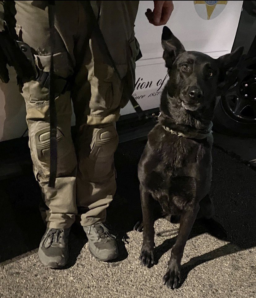 LASD SEB SWAT canine operation in support of LASD Century Station for armed carjacking suspects at the termination of a pursuit with canine Jango has concluded. Suspects in custody. White Star Ave. in the city of Anaheim reopened. Neighborhood safe