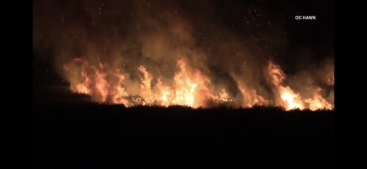 Firefighters stopped a small brush fire in Prado Regional Park. The fire burned less than 1 acre