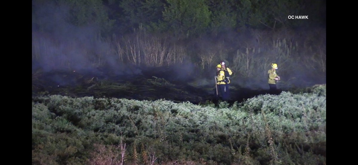 Firefighters stopped a small brush fire in Prado Regional Park. The fire burned less than 1 acre