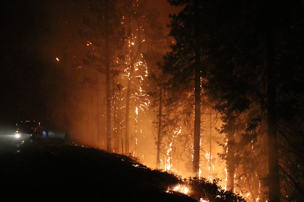 Photos from Michigan Bluff road at Chicken Hawk road about 1 hour ago