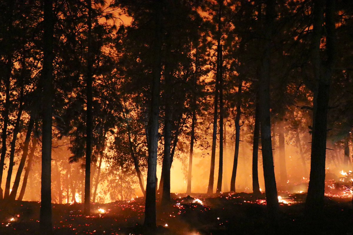 Some more photos from earlier this evening on Michigan Bluff road