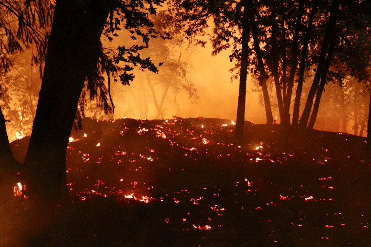 scene of the #MosquitoFire