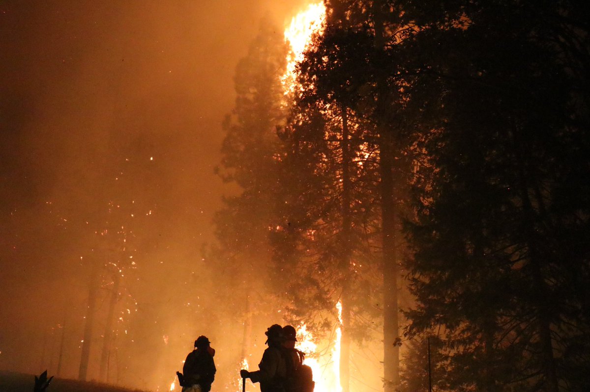 scene of the #MosquitoFire