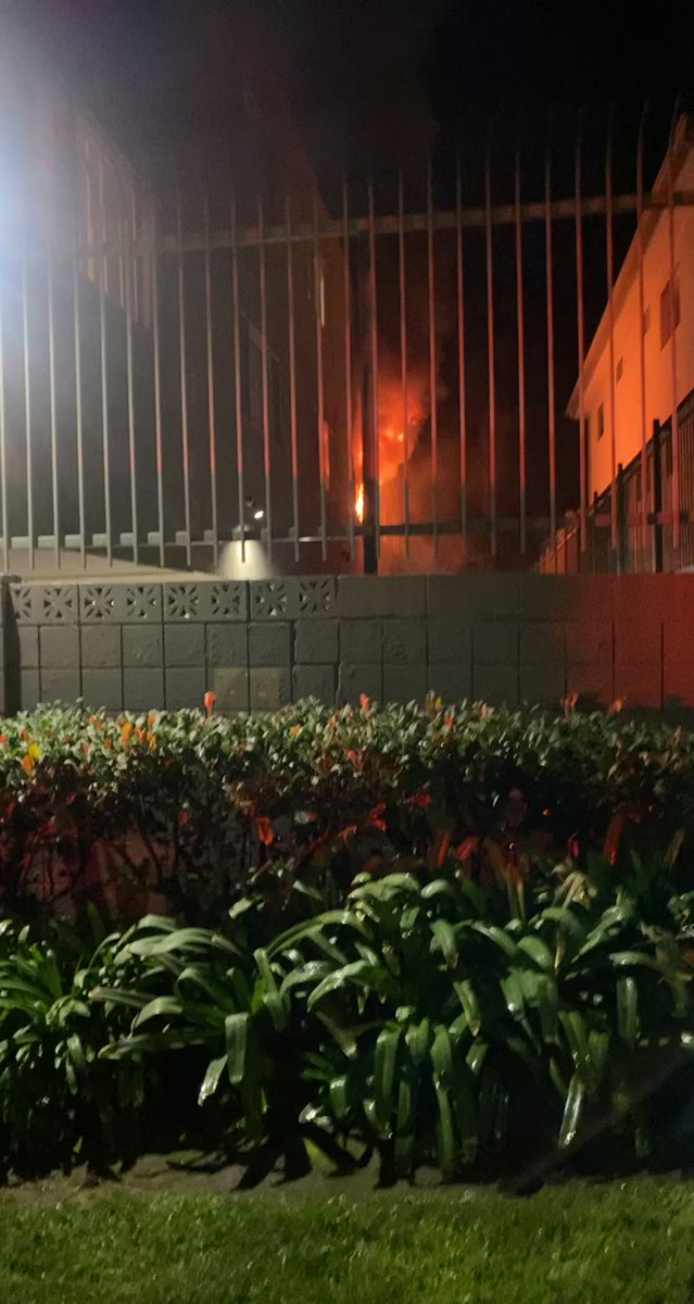 Cell phone video shows the apartment fire that killed a resident and their dog at 5259 Sepulveda Blvd in Sherman Oaks. Victim ID and cause are pending.