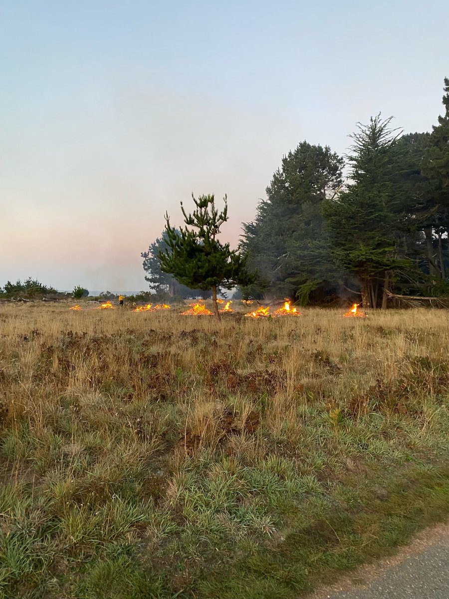 Conducting a controlled burn at Gualala Point Regional Park off of HWY 1 near the coast, which started at 6 a.m. Smoke will be visible. Please do not report the fire to local first responders as we are already aware of the prescribed fire plan