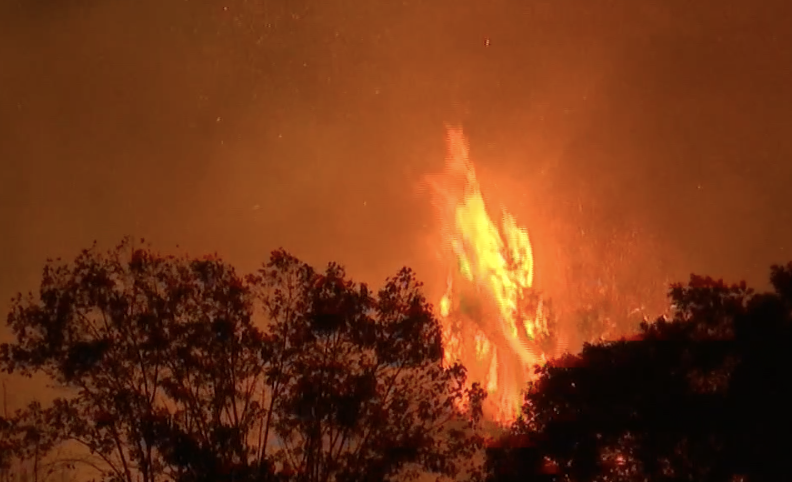 An arrest has been made in the Ward Dr. fire in Goleta Wednesday night west of More Mesa. Homes were threatened. Fire crews held off advancing flames. It's unclear what the suspect was doing in the vegetation off the bike path and near a gas company plant