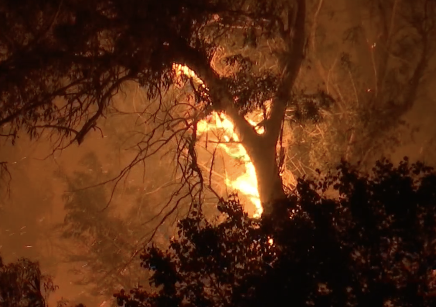 An arrest has been made in the Ward Dr. fire in Goleta Wednesday night west of More Mesa. Homes were threatened. Fire crews held off advancing flames. It's unclear what the suspect was doing in the vegetation off the bike path and near a gas company plant