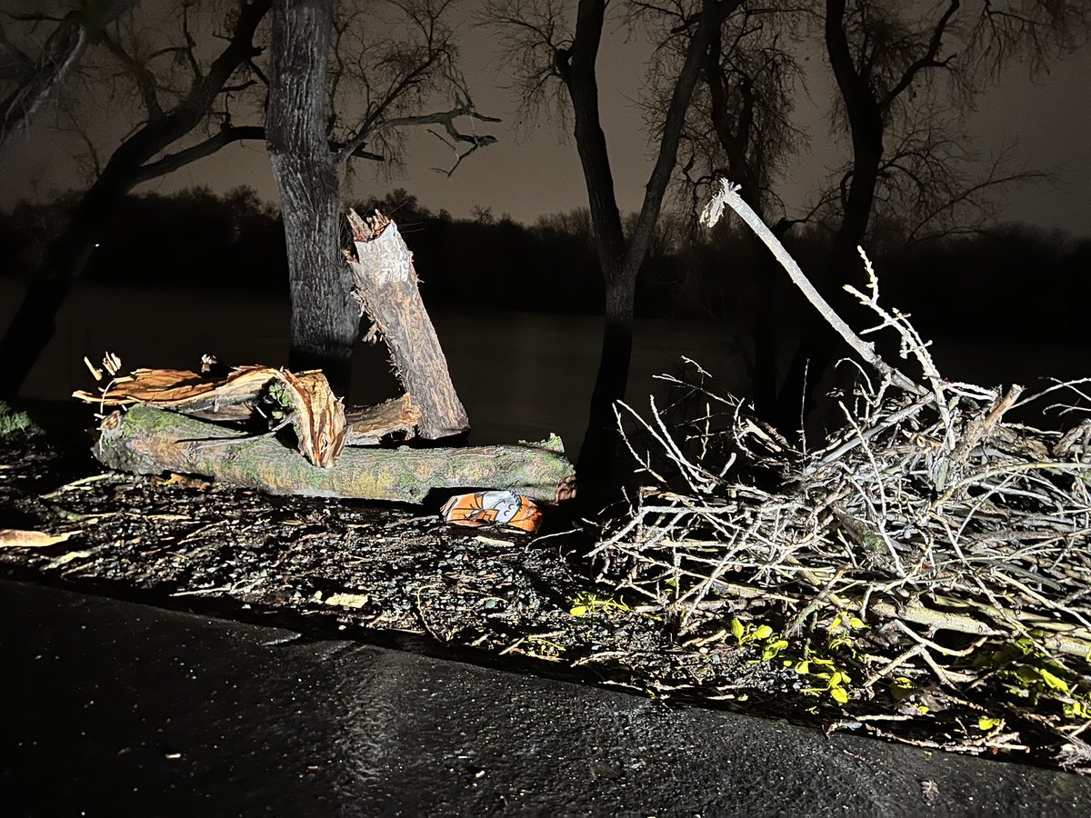 A woman has died after a tree fell on her in north Sacramento this evening, per @SacFirePIO. High winds are believed to have caused the tree to come crashing down.