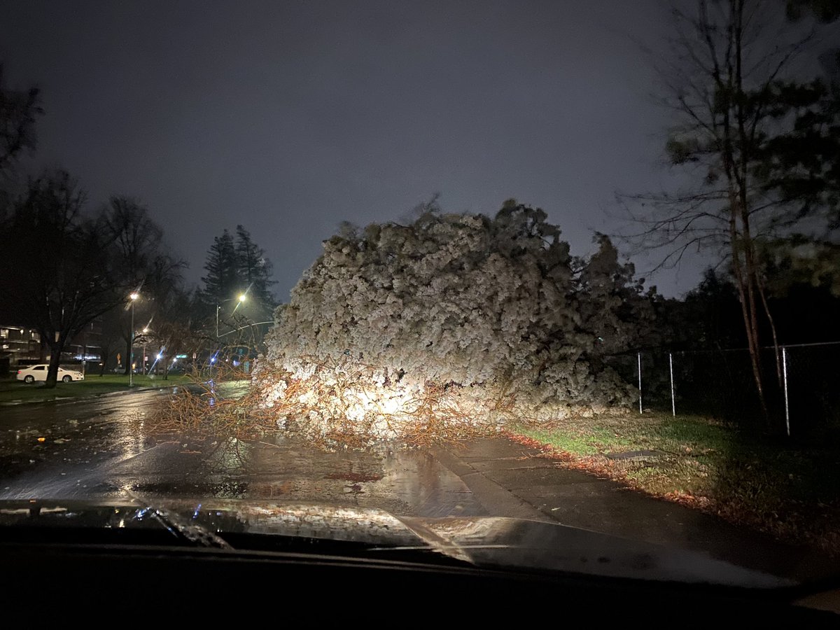 Winds gusting 60+ mph pushing through the Sacramento Valley tonight, leaving hundreds of thousands in the dark, and hundreds of incidents including structure fires, property damage, power lines and trees down