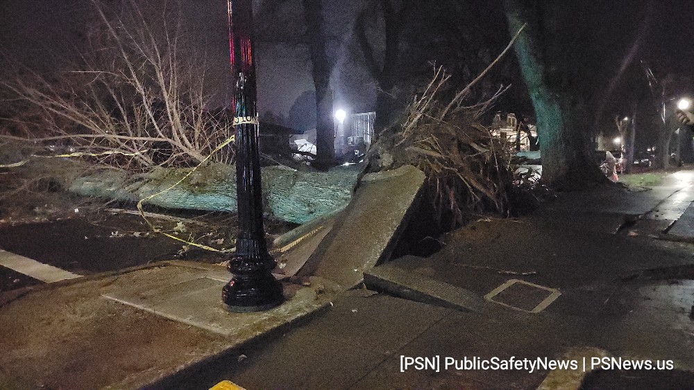 Downed Tree Escape Room Downtown I St and 19th St   A large tree has fallen and blocked the roadway at the intersection of I St and 19th St.   This is the location of a popular escape room, Escape Sacramento, which sustained moderate damage to the structure