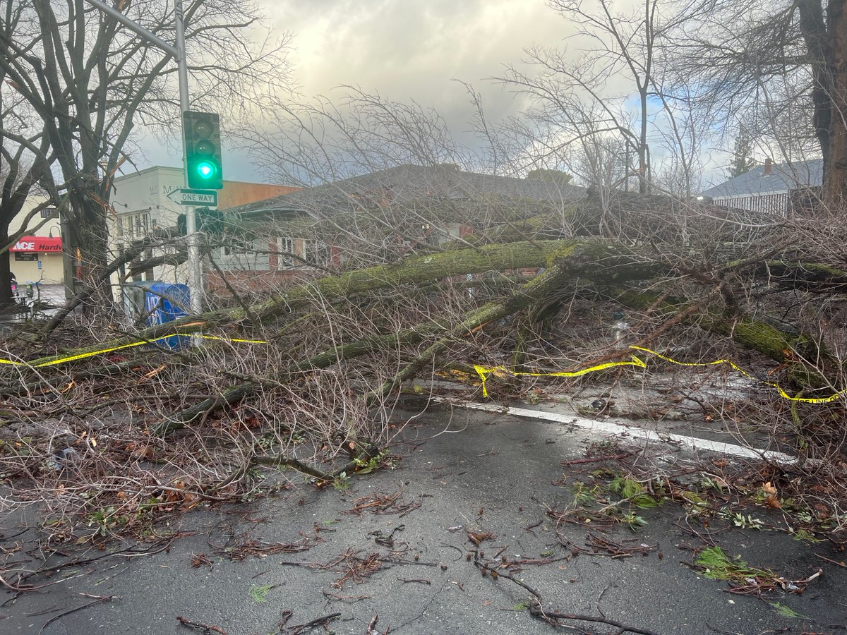 The damage left behind as powerful winds ripped through the Downtown area here in Sacramento last night