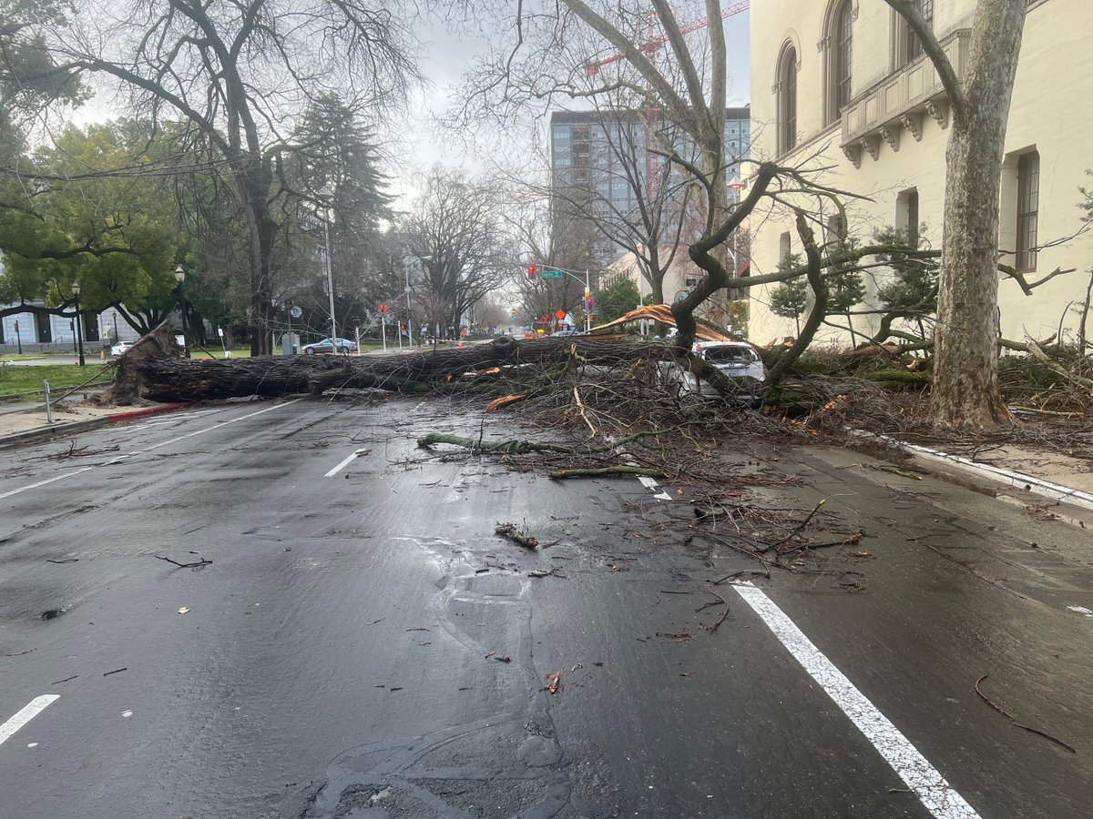 This is across the street from the StateCapitol here in Sacramento - a downed tree blocking 10th St, in front of the capitol.  