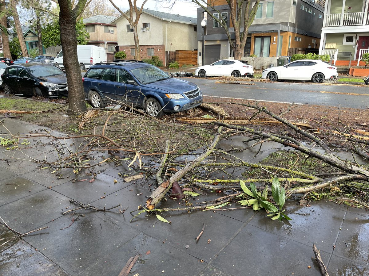 The morning after nearly 70mph winds hit midtown Sacramento last night. This is at T & 19th, you can see someone's motorcycle on its side  