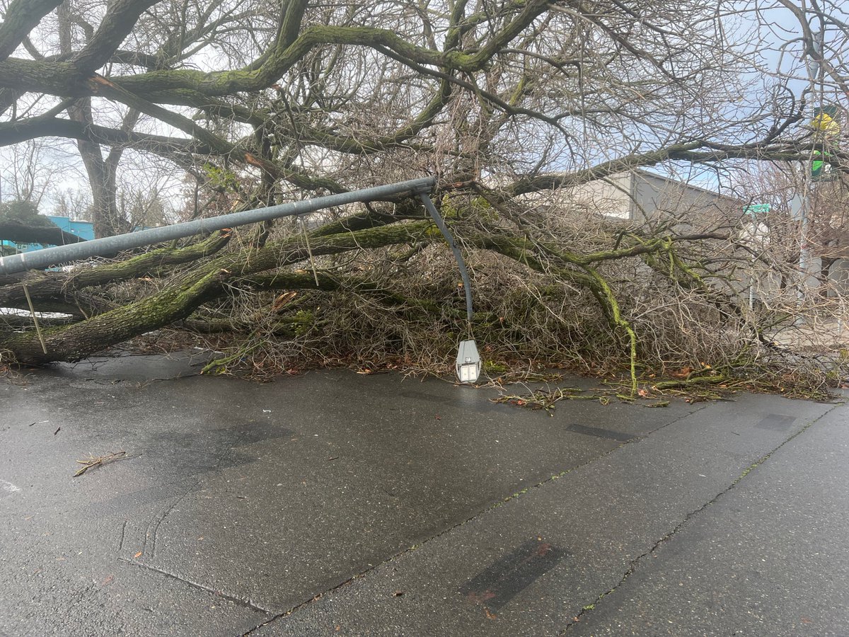 photos in from our crews  on the storm damages across the city. R & 7th Street here in Sacramento, stay safe. We are in a high wind warning until tomorrow afternoon