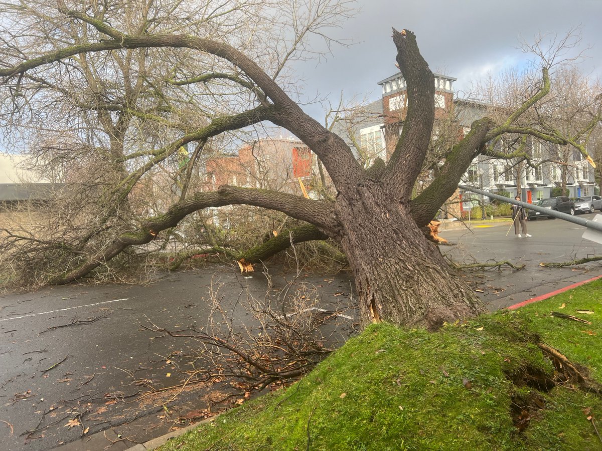 photos in from our crews  on the storm damages across the city. R & 7th Street here in Sacramento, stay safe. We are in a high wind warning until tomorrow afternoon