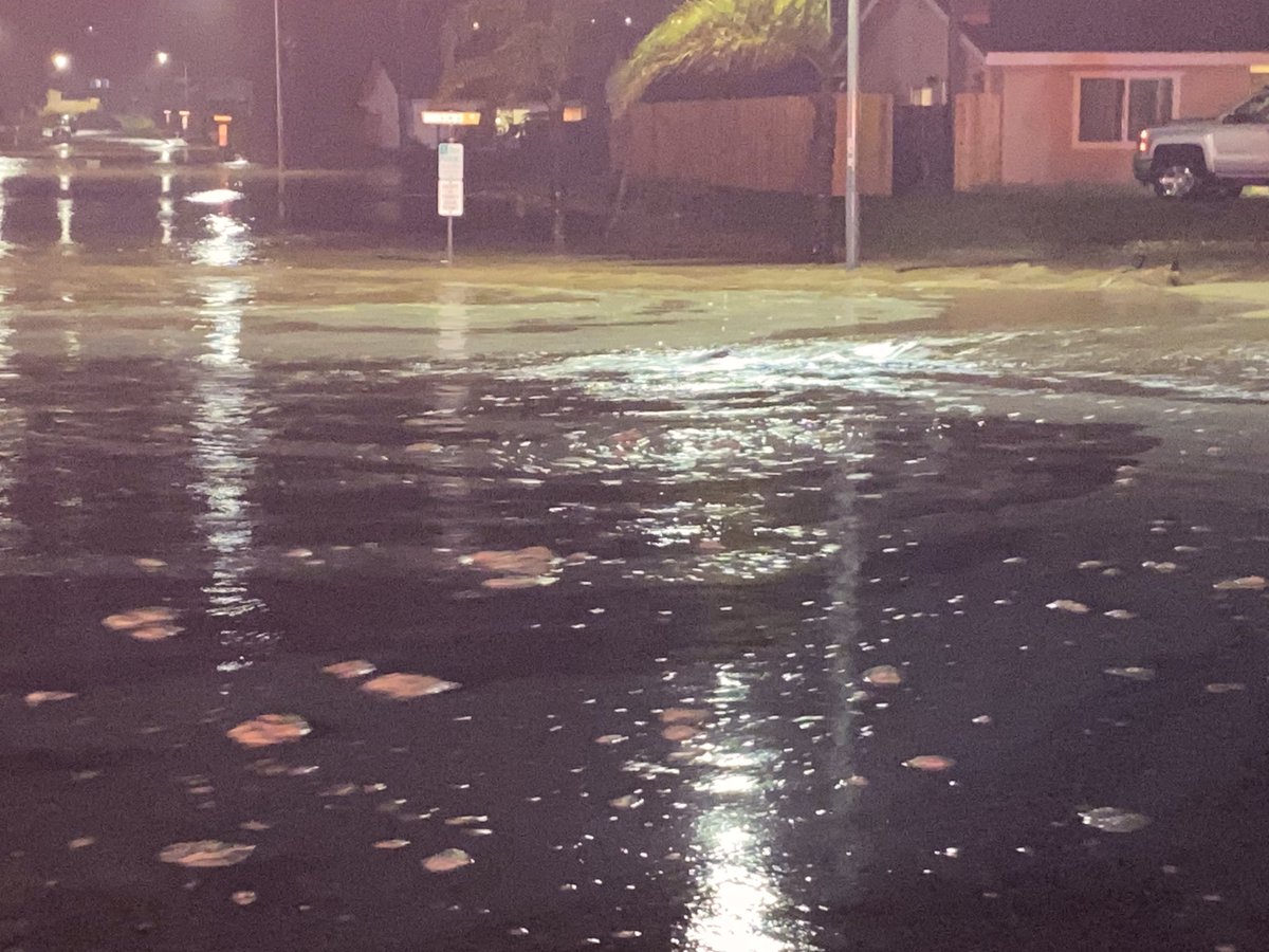 Flooding 4200 blk Hibiscus SM. 10-15 homes damaged. 20 homes evacuated. 500 homes affected. Sink hole @ U.V.P. No injuries. Roads closed in affected area with units remaining on scene